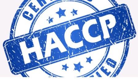 Выведение мышей и внедрение HACCP: почему это важно для бизнеса